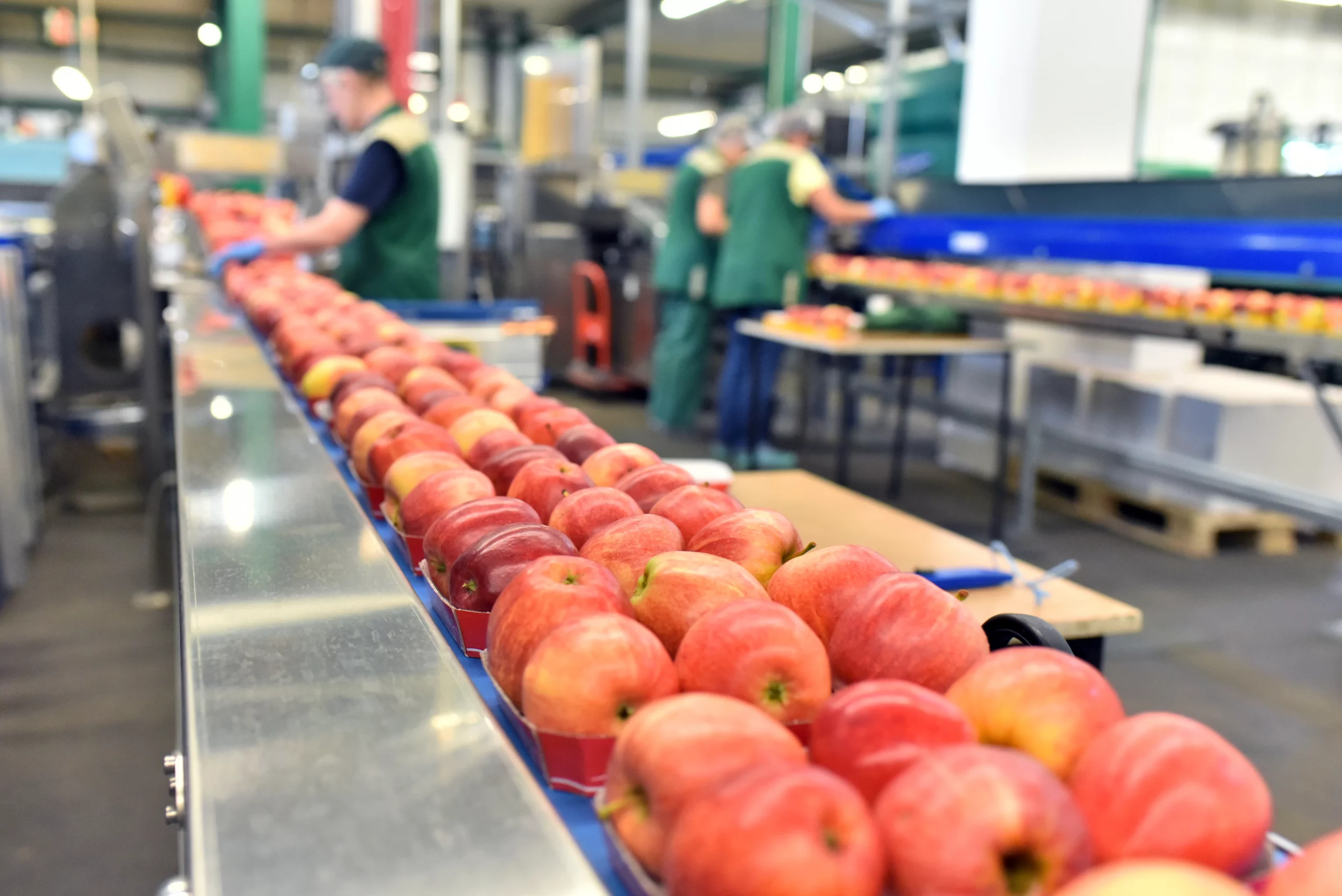 allonger-duree-de-conservation-agro-alimentaire