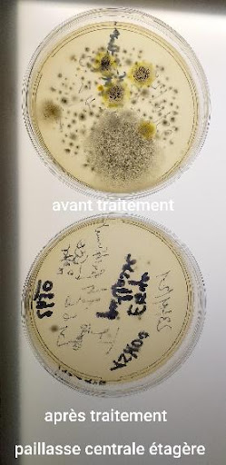 Naolyz_contamination-croiseee-laboratoires-de-mycologie