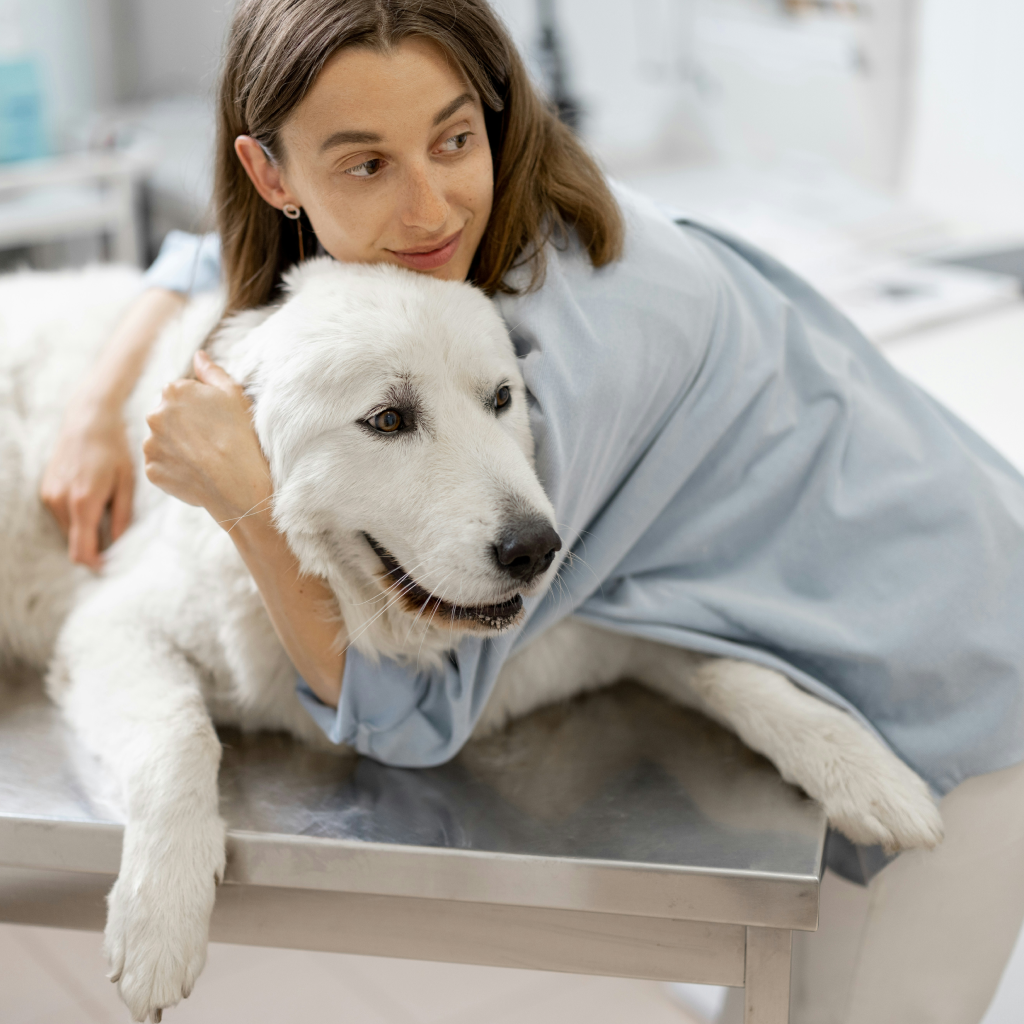 Femme qui fait un calin à un chien chez le veterinaire - purification air veterinaire